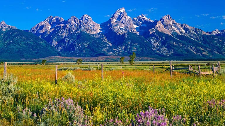 Wyoming eyaleti